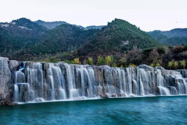 人工饲养繁殖东北虎，逐步实现“放虎归山”